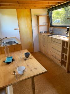 tiny house du poulloguer的厨房或小厨房