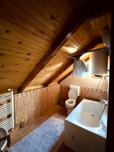 łazienka z toaletą i wanną w obiekcie Sky High Kolasin w mieście Kolašin