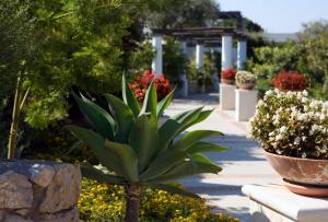 a plant in a garden next to some flowers at Hotel Al Mulino in Anacapri