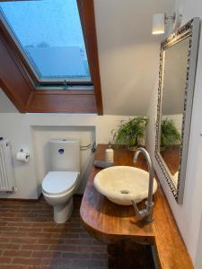 La salle de bains est pourvue d'un lavabo, de toilettes et d'un miroir. dans l'établissement Apartamenty Sudeckie nad zalewem I, à Sosnówka