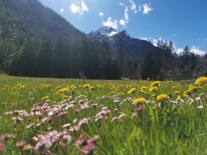 Paesaggio naturale nelle vicinanze dell'hotel