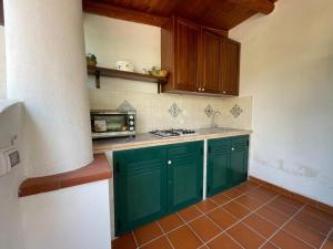 una cucina con armadi verdi e piano cottura forno superiore di Eoliando Apartment a Vulcano