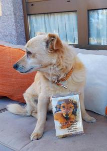 un perro está sentado en una cama con un libro en Viviendas Turísticas El Carrascal, en La Gandara