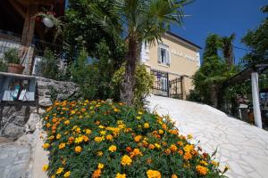 Vonkajšia záhrada v ubytovaní Villa Anna