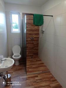 ein Bad mit einem WC, einem Waschbecken und einer Dusche in der Unterkunft Apartmány u Bečova nad Teplou in Bečov nad Teplou