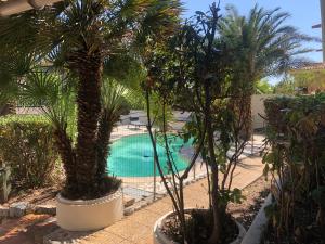 Vista de la piscina de Hôtel de la plage o alrededores