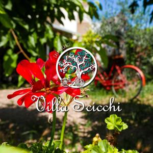 une fleur rouge avec une photo d'arbre sur elle dans l'établissement Villa Scicchi, à Castro di Lecce