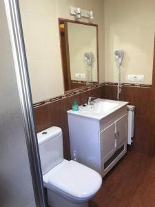 een badkamer met een toilet, een wastafel en een spiegel bij Apartamentos Rurales La Viña in Cangas de Onís +158 foto's