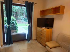Televízia a/alebo spoločenská miestnosť v ubytovaní Apartament Przy Parku Wisełka