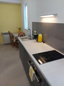 uma cozinha com um lavatório e um fogão forno superior em Olive Tree em Zadar