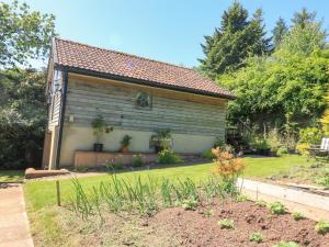 a small shed with plants in a yard at Detox Dunchideock in Exeter