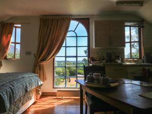 a room with a bed and a kitchen with a large window at Detox Dunchideock in Exeter