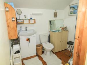 a small bathroom with a toilet and a sink at Detox Dunchideock in Exeter