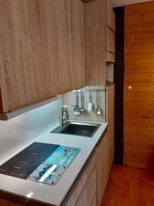 Η κουζίνα ή μικρή κουζίνα στο Studio centre station AURON 4 personnes WIFI