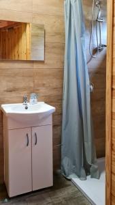 uma casa de banho com um lavatório e uma cortina de chuveiro em Pod Brzozami Apartamenty Domek Ustronny em Ustronie Morskie