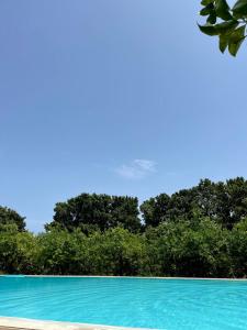 una piscina azul con árboles en el fondo en Chiusa Di Carlo Agriturismo, en Avola