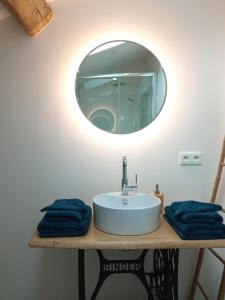 La salle de bains est pourvue d'un lavabo et d'un miroir. dans l'établissement Le Tamaris Chambres d'hôtes, à Sainte-Hermine