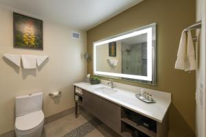 Apache Gold Resort Hotel & Casino tesisinde bir banyo