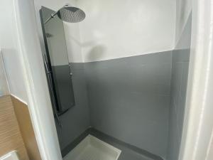 La salle de bains est pourvue d'une douche avec une porte en verre. dans l'établissement Studio Confort Lorient Nouvelle Gare Hypercentre, à Lorient