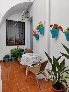 ベヘール・デ・ラ・フロンテーラにあるVivienda Turistica de Alojamiento Rural Casa Arenalejosのパティオ(テーブル、椅子、鉢植えの植物付)