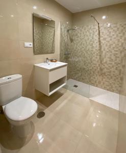 y baño con aseo, lavabo y ducha. en Alojamientos Muelle de Gijón, en Gijón