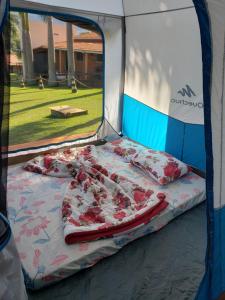 Bett vor einem Zelt in der Unterkunft Locação De Barracas EcoPark in São Pedro + 33 Fotos