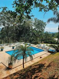 a swimming pool with chairs and a palm tree at Cantareira - Deck House in Mairiporã