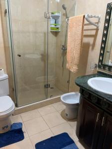 La salle de bains est pourvue d'une douche, de toilettes et d'un lavabo. dans l'établissement Résidence Caprice Palace Hivernage, à Marrakech