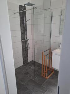 een douche met een glazen deur in de badkamer bij Ferienwohnungen Winzergasse in Purbach am Neusiedlersee