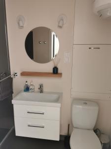 a bathroom with a white toilet and a mirror at Fox Apartments - Pie Lapsas in Priekuļi