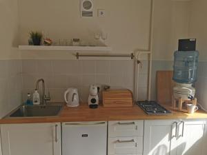 a kitchen with a sink and a counter top at Fox Apartments - Pie Lapsas in Priekuļi