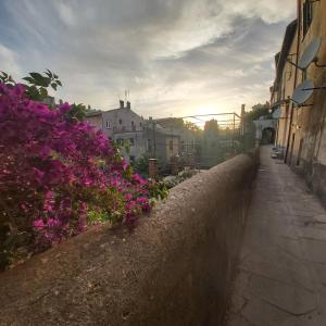 a street with purple flowers on the side of a building at La Casa del Buttero in Tuscania