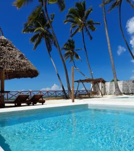 a swimming pool next to a beach with palm trees at Coco Rise Villas - by Hostly in Bwejuu
