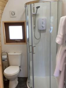 a bathroom with a toilet and a glass shower at Wilding on a Whim in West Linton