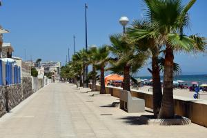 a sidewalk with palm trees next to a beach at Casa VALOLI PLAYA MIRAMAR in Miramar