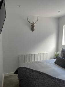 a bedroom with a bed with a deer head on the wall at Terfyn Hall holiday Apartment 2 in Prestatyn