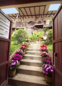 Zahrada ubytování Orosi Lodge