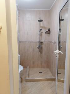 a bathroom with a shower and a toilet at Belisima 204 B in Ravda