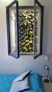 Gallery image of Hostel Cultural Casa Taller in Bahía Blanca +15 photos