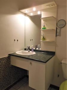 パペーテにあるTAHITI - Studio Te Maraamuのバスルーム(洗面台、鏡付)