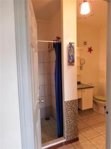 a bathroom with a shower with a blue shower curtain at TAHITI - Studio Te Maraamu in Faaa