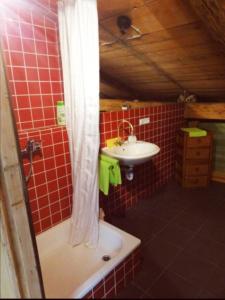 een badkamer met een wastafel, een bad en een wastafel bij Eichenhof B in Rieden