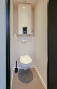 La salle de bains est pourvue de toilettes blanches et d'un miroir. dans l'établissement Le lodge de Fourvière, à Lyon