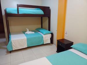 1 dormitorio con 2 literas y un pájaro en la parte superior en Hostal Bryana Inn Baños, en Baños