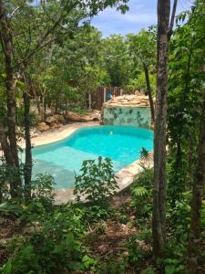 a swimming pool in the middle of a forest at Aldea Yuyu in Tulum