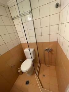 a bathroom with a toilet and a shower at Grand Pension in Néa Koróni +7 photos
