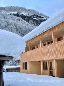 Apartment Waldblick v zime