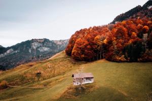Príroda v okolí apartmánu