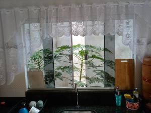 a window over a kitchen sink with a plant at Casa da Thalita in Pirenópolis +28 photos