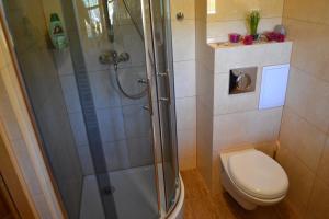 a bathroom with a shower and a toilet at Apartament Rysulówka 180 in Kościelisko